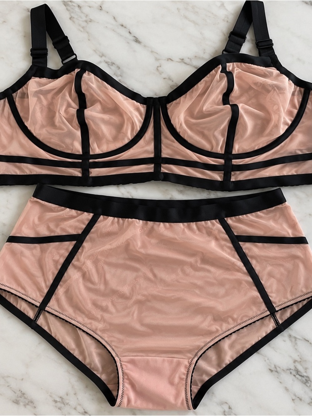 Sheer Pink and Black Trim Lingerie Set Torrid size 2 / 20